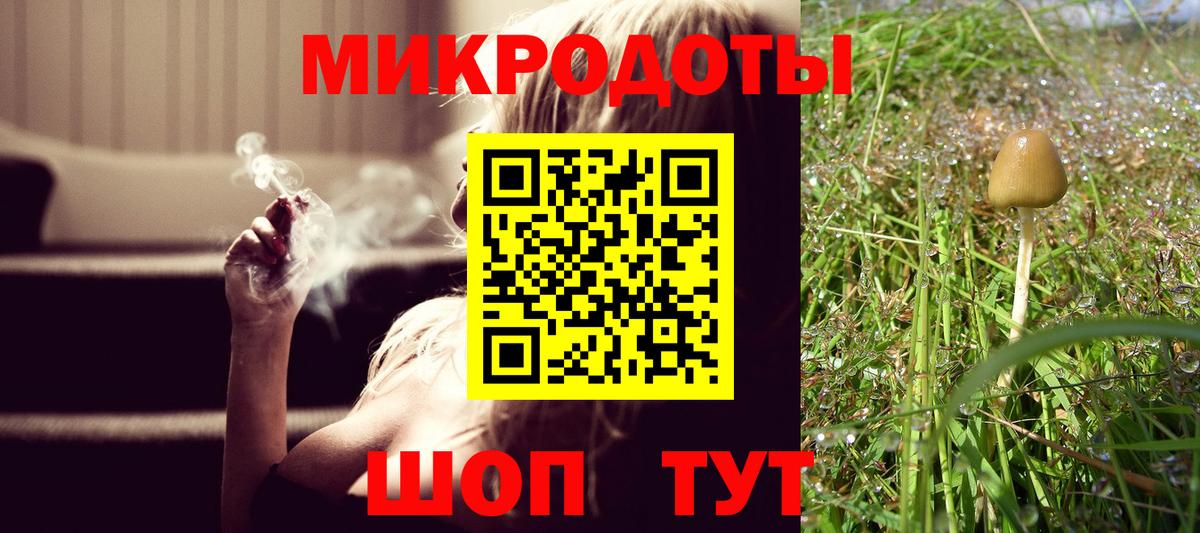 Псилоцибиновые грибы Cubensis Троицк